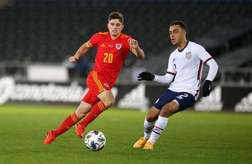 美国 vs 威尔士